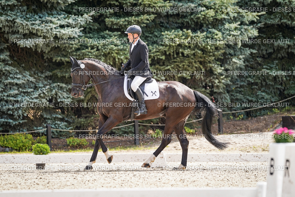 DSC08809 | Pferdegrafie