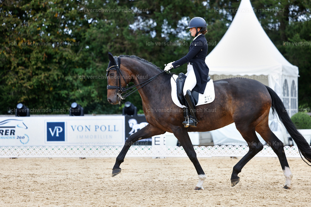 6-086-AMATUER-DRESSUR S_  -StoibPH-3581 | working equitationturnier fotograf videograf stoibphotography marixx film working equitation deutschland reitsport turnierfotografie eventfotografie equestrian events
