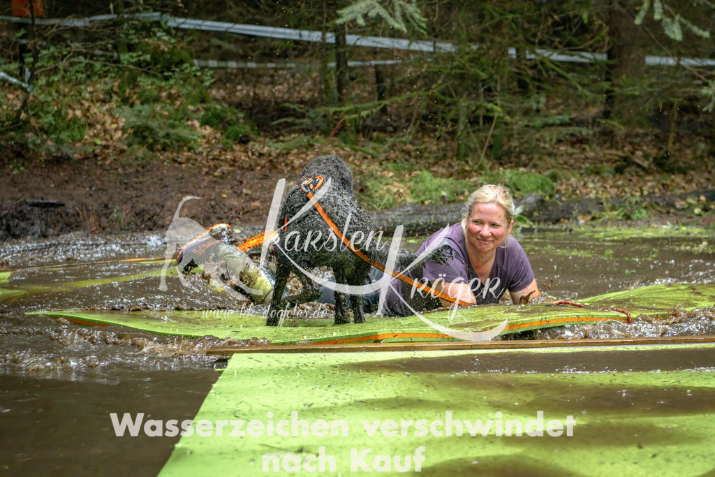 1536_ZZ91407-Bearbeitet | kk-dogfotos