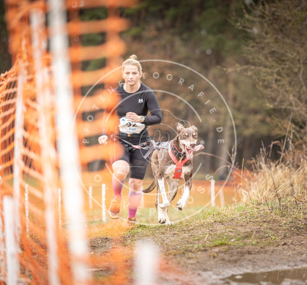 DV3A0421 | Hundefotografie, Tierfotograf, Pfotenfotografie, Fotoshooting Hund, Hunde Portrait, Hundesport, Hundeportraits, Heideshooting, Hunde, Sportfotograf, Hundefotograf, Turnierhundsport, THS,  - Realisiert mit Pictrs.com