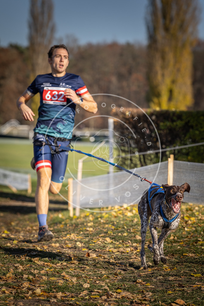 CaniXpix_DV3A0152 | Hundefotografie, Tierfotograf, Pfotenfotografie, Fotoshooting Hund, Hunde Portrait, Hundesport, Hundeportraits, Heideshooting, Hunde, Sportfotograf, Hundefotograf, Turnierhundsport, THS,  - Realisiert mit Pictrs.com