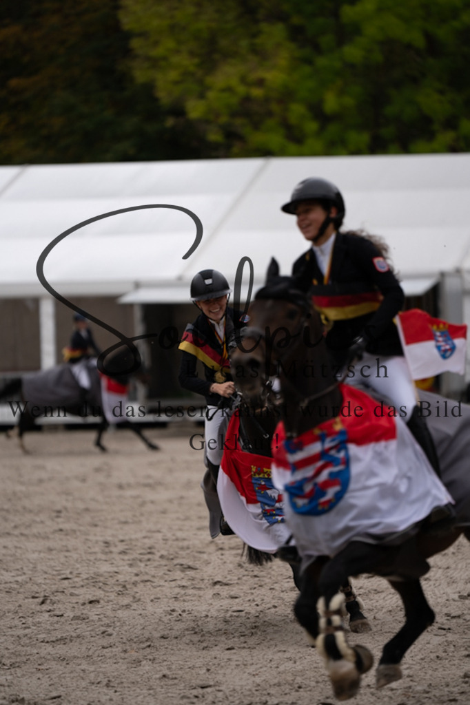 A7V01444 | Pferdefotograf