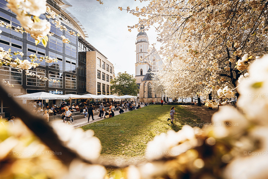 _DSC1414 | Leipzig Wandbilder Drucke Prints Leinwand Stadtmotive Leipzig Fotosdruck Kunstdrucke Bilder Leipzig Stadtansichten Acrylglasbilder Leipzig Wanddeko Fine Art Prints Wandbilder Büro Leipzig Bilder Praxis Zuhause Bilderdruck Poster Posterlounge Kunstdrucke - Realisiert mit Pictrs.com
