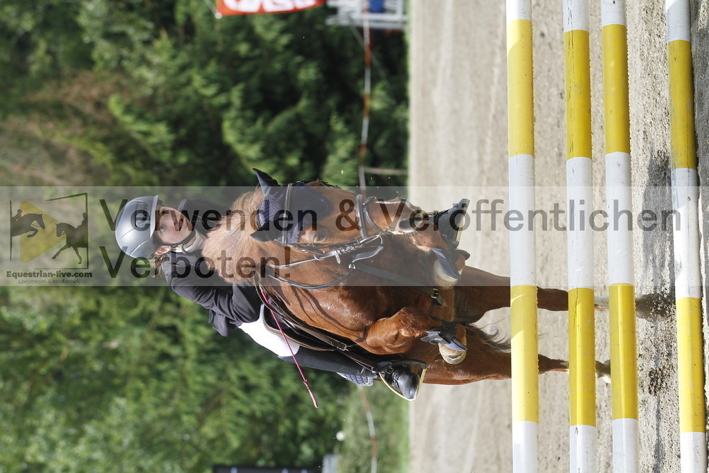 _MG_5028 | equestrian-live-com