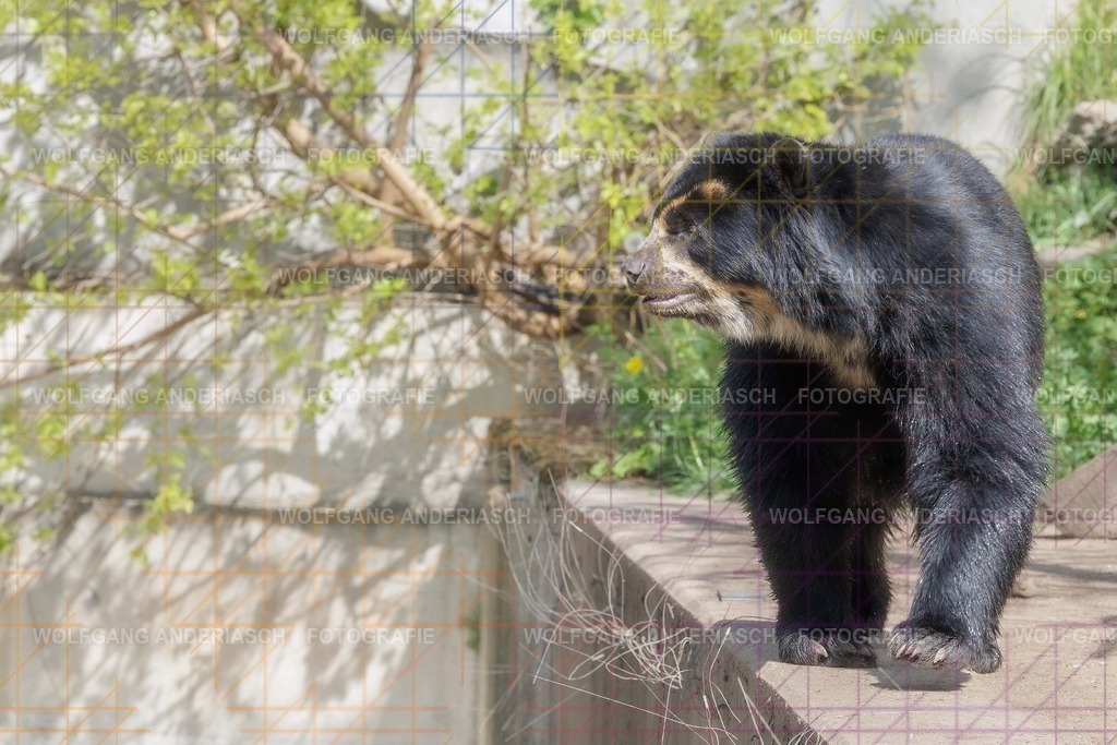 2026414-115424Zoo_Frankfurt100L0666_finish | Im Zoo Frankfurt zeigt sich genau das: kleine Momente, echte Begegnungen, ungefilterte Emotion. - Realisiert mit Pictrs.com