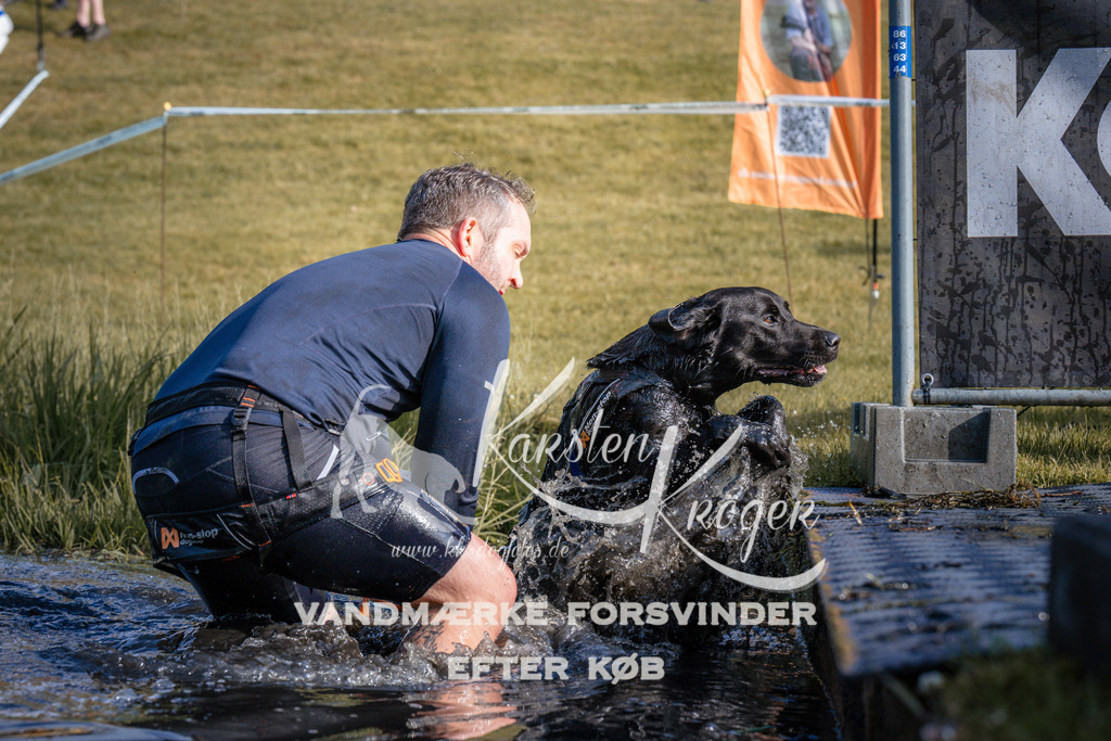 _ZZ959300730 | kk-dogfotos