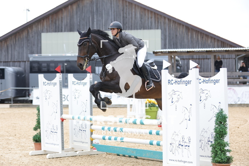 0P6A5756 | Willkommen bei Brunnmayr - Design & Fotografie – Ihrem Spezialisten für Reitturniere und Pferdeveranstaltungen in Oberösterreich, Salzburg und Bayern! Seit über 17 Jahren sind wir leidenschaftlich dabei.