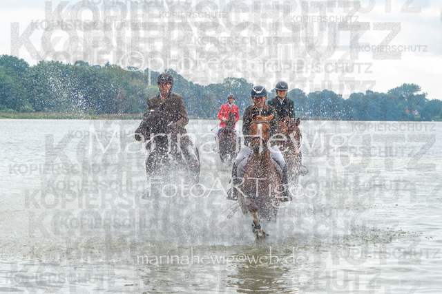 Jagd Perdoel_MarinaHewigDSCF3702 | Fotografie, FotoArt, PferdesportArt, Pferdesportfotografie, Landschaftsfotografie, Reisefotografie, Reise, Pferde - Realisiert mit Pictrs.com