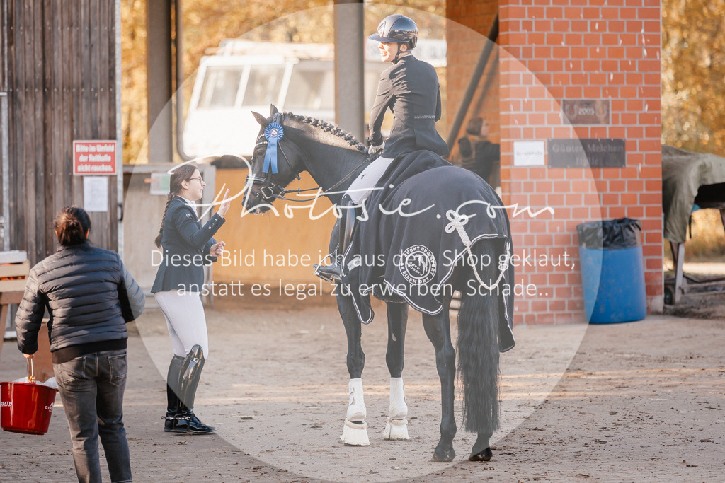 3I6A2175 | Stimmungsvolle Portraits und Reitsportfotografie im Ruhrgebiet und im Münsterland.

Pferdefotografie, Hundefotografie, Tierfotografie, Reportagen, Portraits von Tier und Mensch, Turnierfotografie in Bochum, Recklinghausen, Marl, Haltern am See, Dülmen.. - Realisiert mit Pictrs.com