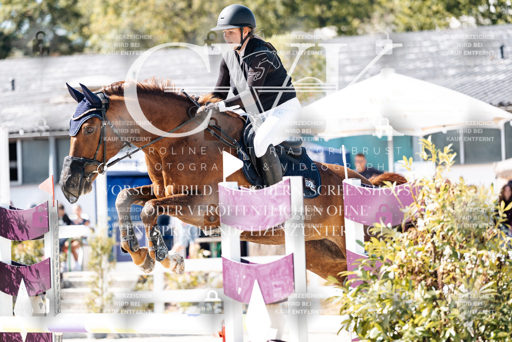 CK908502 | Turnierfotografie Pferdefotografie Trier Rheinland-Pfalz Pferdesport Reitsport Tierfotografie Sportfotografie Pferdevideo Pferdevideografie Equestrianvideography equestrianphotography  - Realisiert mit Pictrs.com