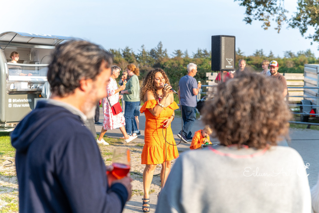 EAF_4132 | Eilun-Art-Fotografie Levke Martens, ihre Fotografin für Immobilien- und Landschaftsfotografie auf Föhr, Föhrer Motive als Poster, Leinwand, hinter Acrylglas oder stelle dir deinen eigenen Monatskalender zusammen, mit nur einem Klick