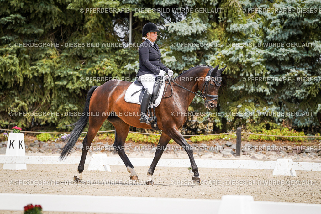 DSC01962 | Pferdegrafie