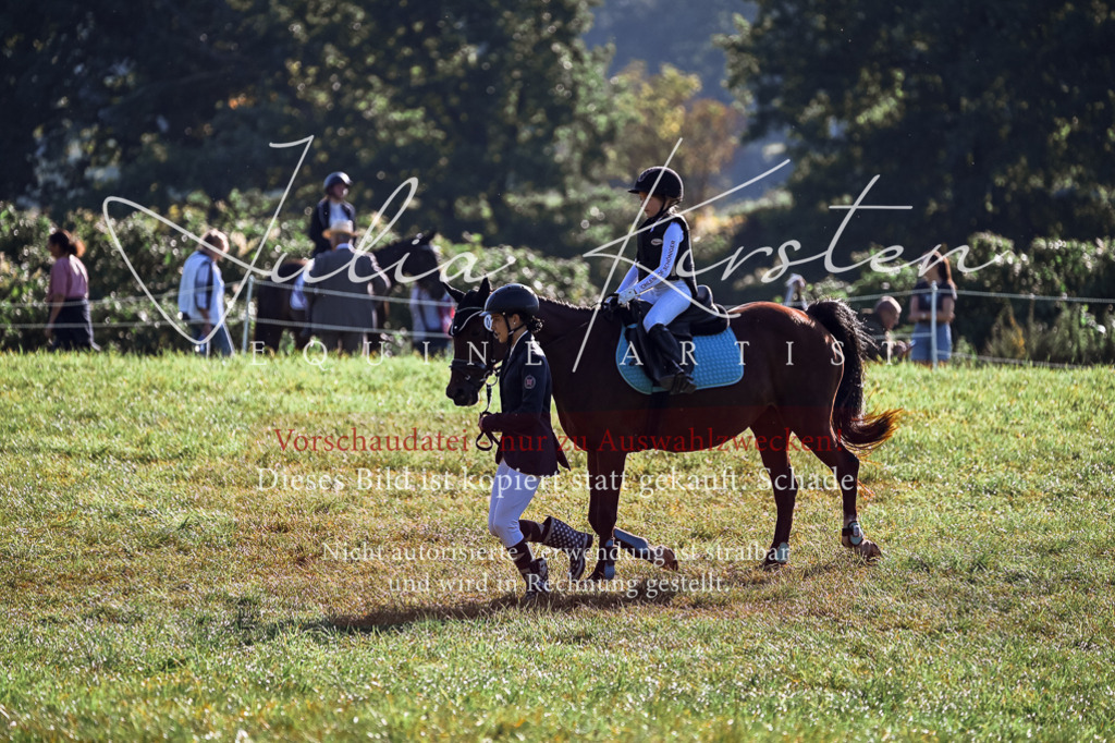DSC_0284 | Pferde- und Turnierfotografie in Westsachsen. Pferdeportraits, Auftragszeichnungen und intuitive Kunst.