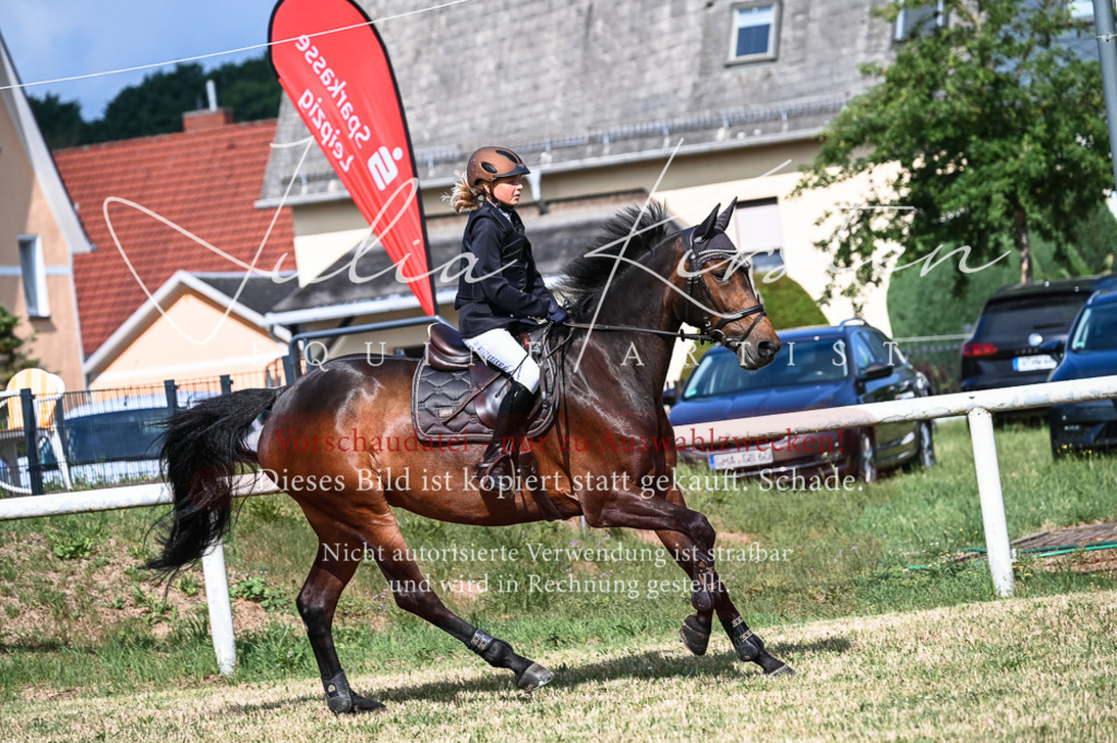 DSC_7975 | Pferde- und Turnierfotografie in Westsachsen. Pferdeportraits, Auftragszeichnungen und intuitive Kunst.
