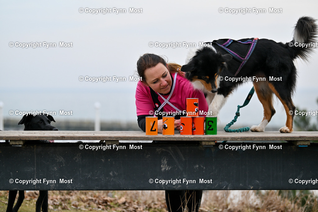 DSC_2369 | Hallo und herzlich Willkommen auf meiner Shop-Seite Fynn Most.

Ich wünsche Dir viel Spaß beim stöbern durch die Bilder, wenn Du Fragen hast oder Bilder vermisst, kannst du mir gerne eine Nachricht schreiben. - Realisiert mit Pictrs.com