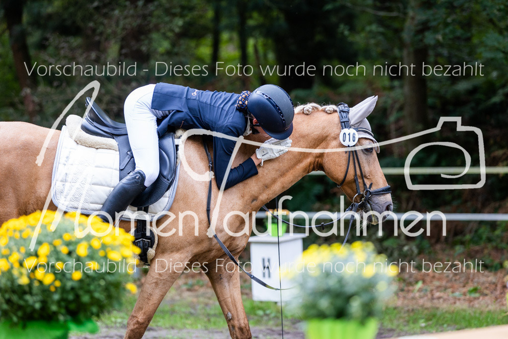 HB-A-Dressur-039 | MomenTaufnahmen Pferdesportfotos