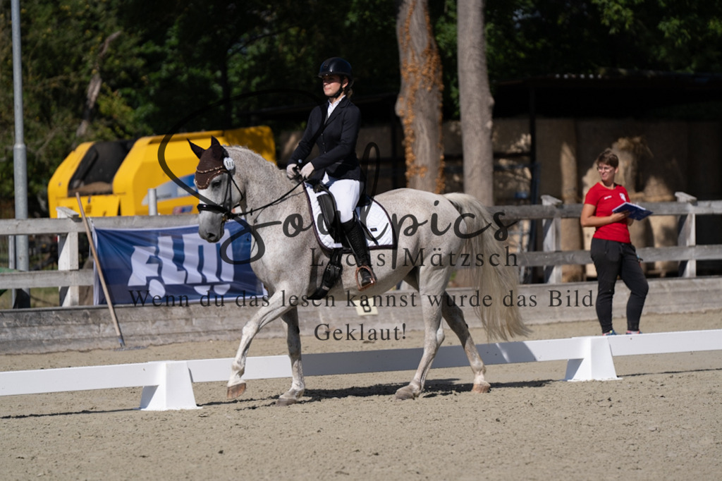 A7V07047 | Turnier/Reitfotograf