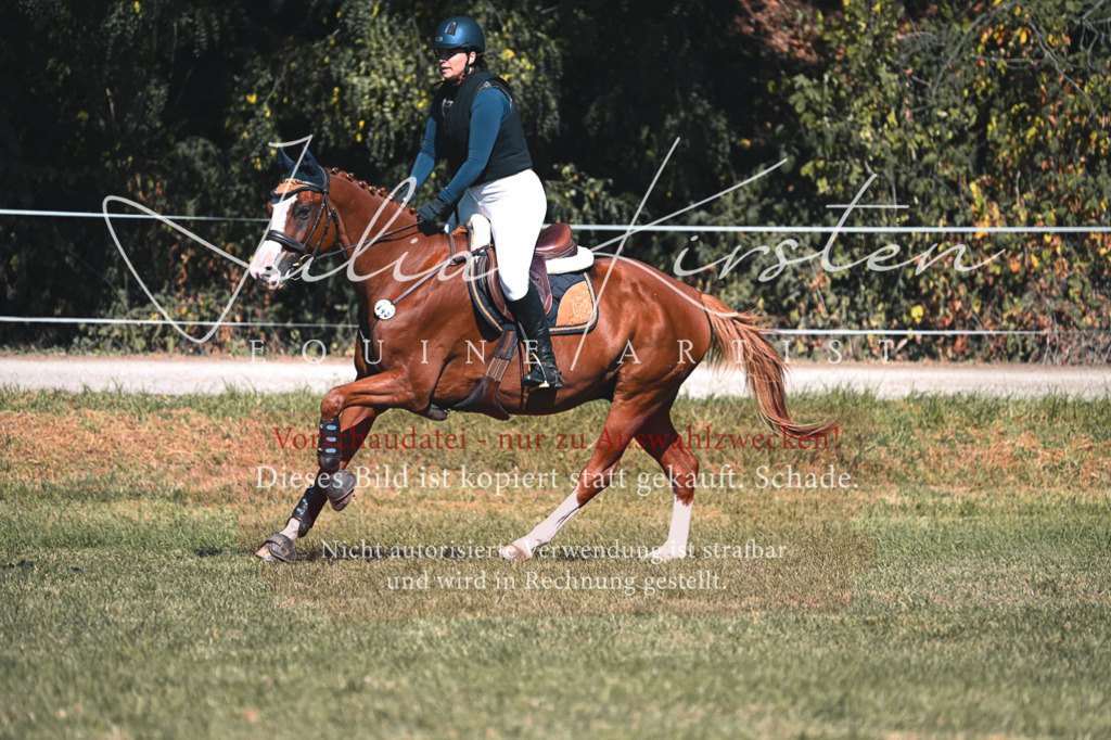 DSC_7995 | Pferde- und Turnierfotografie in Westsachsen. Pferdeportraits, Auftragszeichnungen und intuitive Kunst.