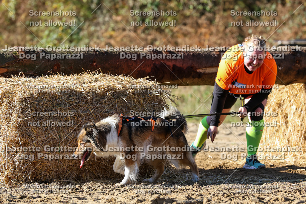 Dog Paparazzi - Strongdog 10-25-2606 | Dog Paparazzi Jeanette Grottendiek Fotografie & Videografie - Realisiert mit Pictrs.com