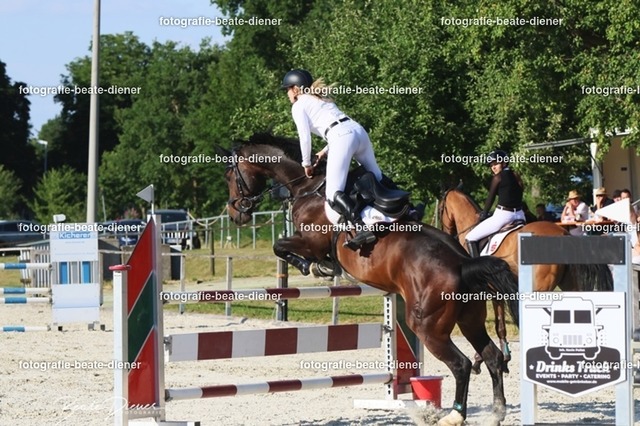 OHT 2022 Röhlingen (134) | Fotografie, Tiere, Hunde, Katzen, Pferde, Sportfotografie, Fotosession, Tierfotografie, Turnierfotografie, Fotografin, Fotograf - Realisiert mit Pictrs.com