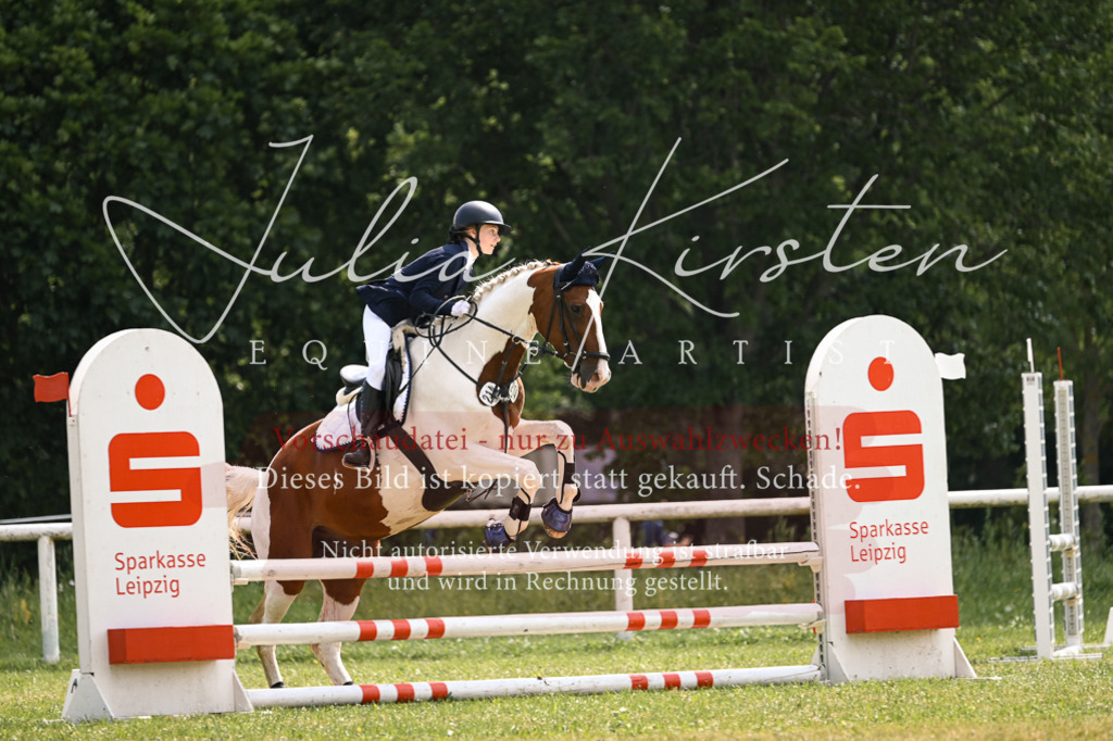 DSC_9064 | Pferde- und Turnierfotografie in Westsachsen. Pferdeportraits, Auftragszeichnungen und intuitive Kunst.