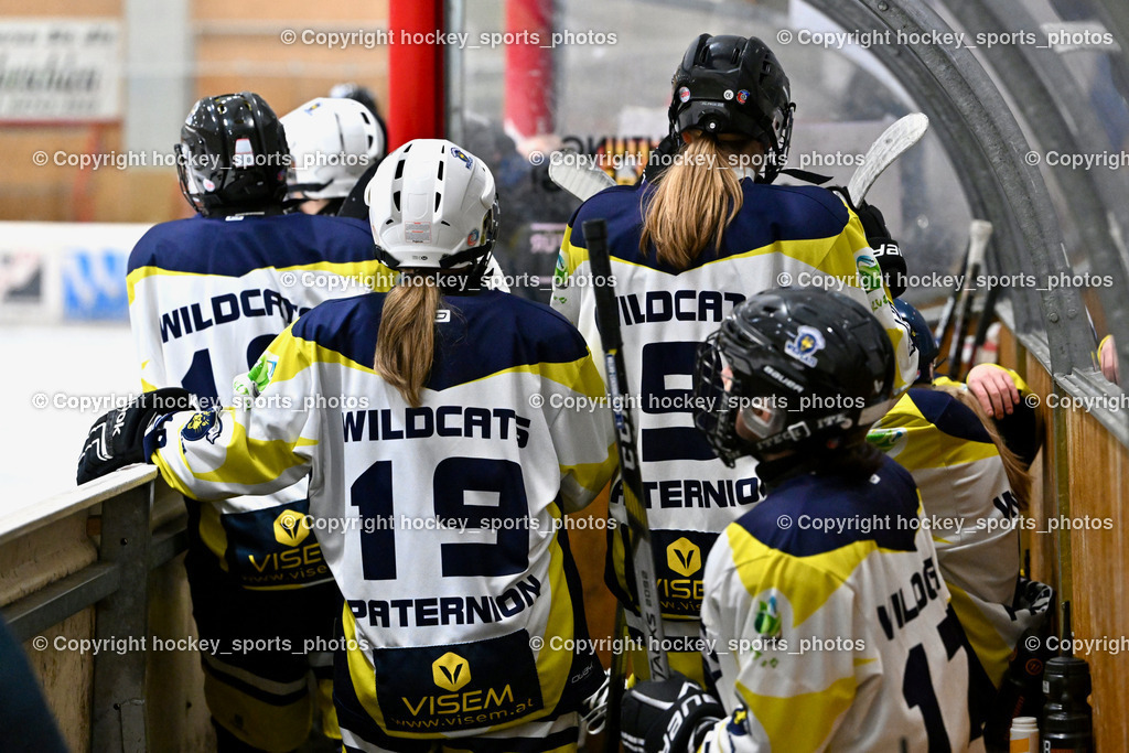 Wildcats Paternion vs. Lady Hawks  | Spielerbank Wildcats Paternion, #19 Knes Julia WILDCATS PATERNION, #9 Neumann Magdalena WILDCATS PATERNION, Wildcats Paternion vs. Lady Hawks , Wildcats Paternion vs. Lady Hawks  am 27.01.2025 in Spittal an der Drau (Eissportzentrum Spittal), Austria, (Photo by Bernd Stefan)