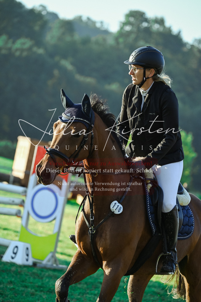 DSC_3885 | Pferde- und Turnierfotografie in Westsachsen. Pferdeportraits, Auftragszeichnungen und intuitive Kunst.