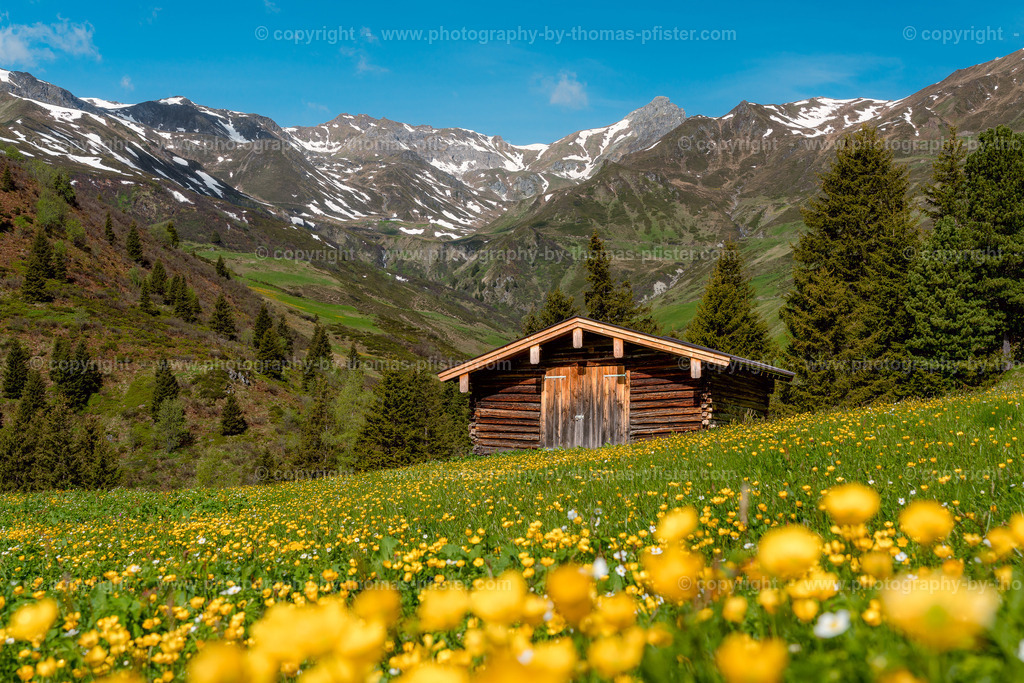 Geiselalm Frühling copyright  Thomas Pfister-3 | PHOTOGRAPHY BY THOMAS PFISTER