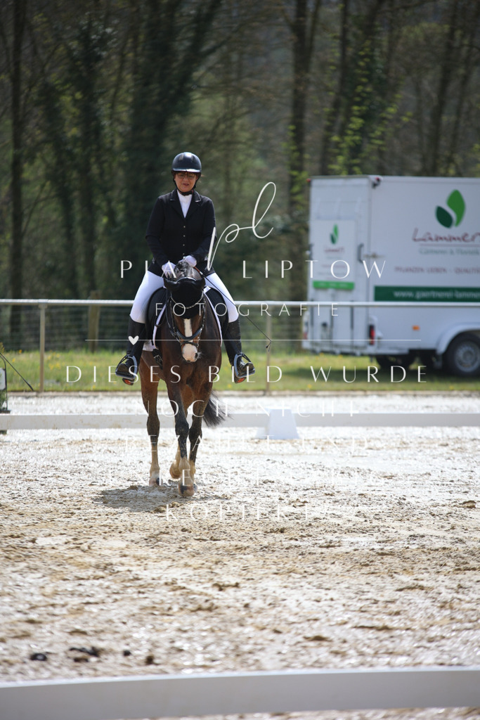 IMGT2450 | pl-fotografie