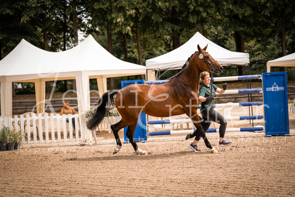 4.Fr00099 | Leoni Ertmer Photography - Realisiert mit Pictrs.com