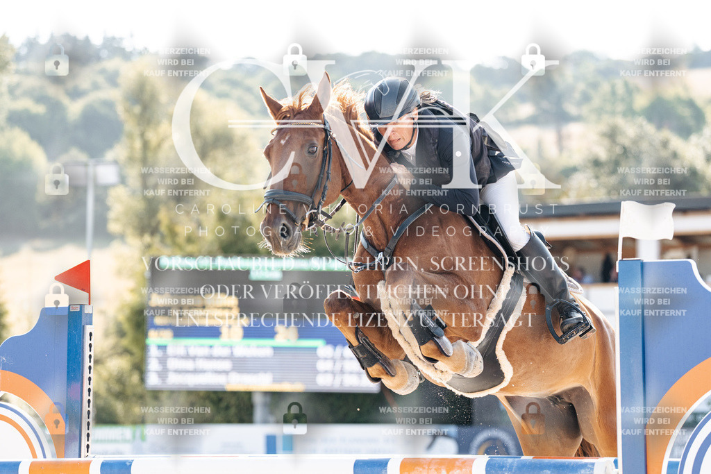 CK901773 | Turnierfotografie Pferdefotografie Trier Rheinland-Pfalz Pferdesport Reitsport Tierfotografie Sportfotografie Pferdevideo Pferdevideografie Equestrianvideography equestrianphotography  - Realisiert mit Pictrs.com