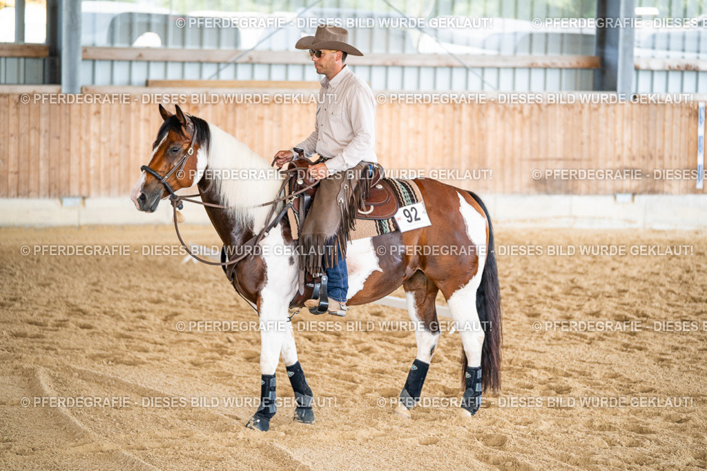 DSC02186 | Pferdegrafie