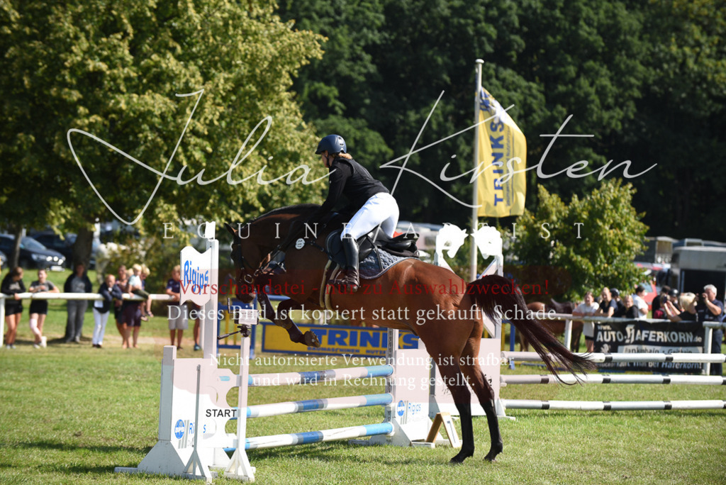 DSC_9109 | Pferde- und Turnierfotografie in Westsachsen. Pferdeportraits, Auftragszeichnungen und intuitive Kunst.