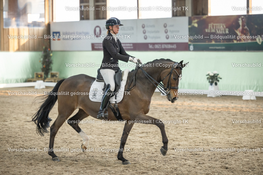 _D5A3445 | Emotionale Pferde- & People-Fotografie rund um Heidelberg, Leimen & Umgebung. Natürliche Fotos von Pferd, Mensch & Familie. Jetzt Termin sichern!