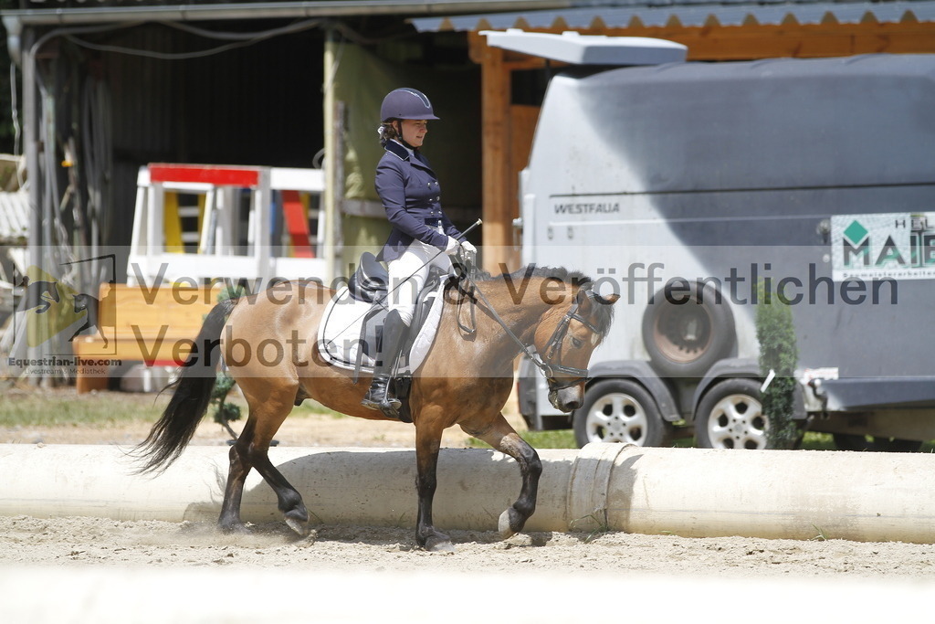 _MG_1018 | equestrian-live-com