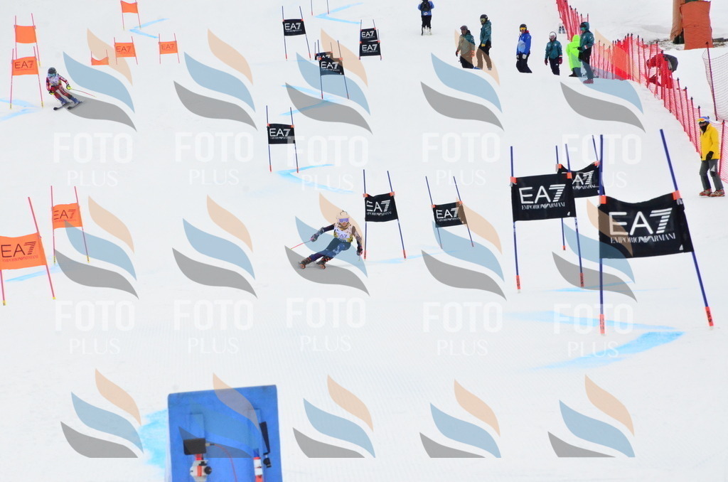 _ELE3989 | holidayphoto