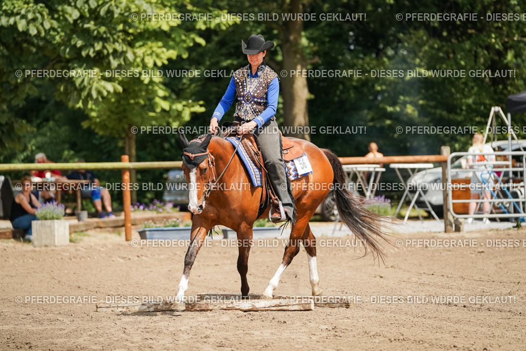 DSC06193 | Pferdegrafie