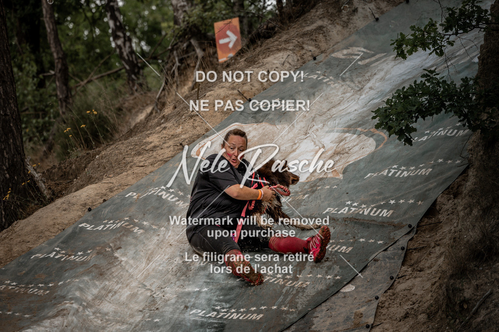 nelerasche_sa1100-1200_376 | nelerasche