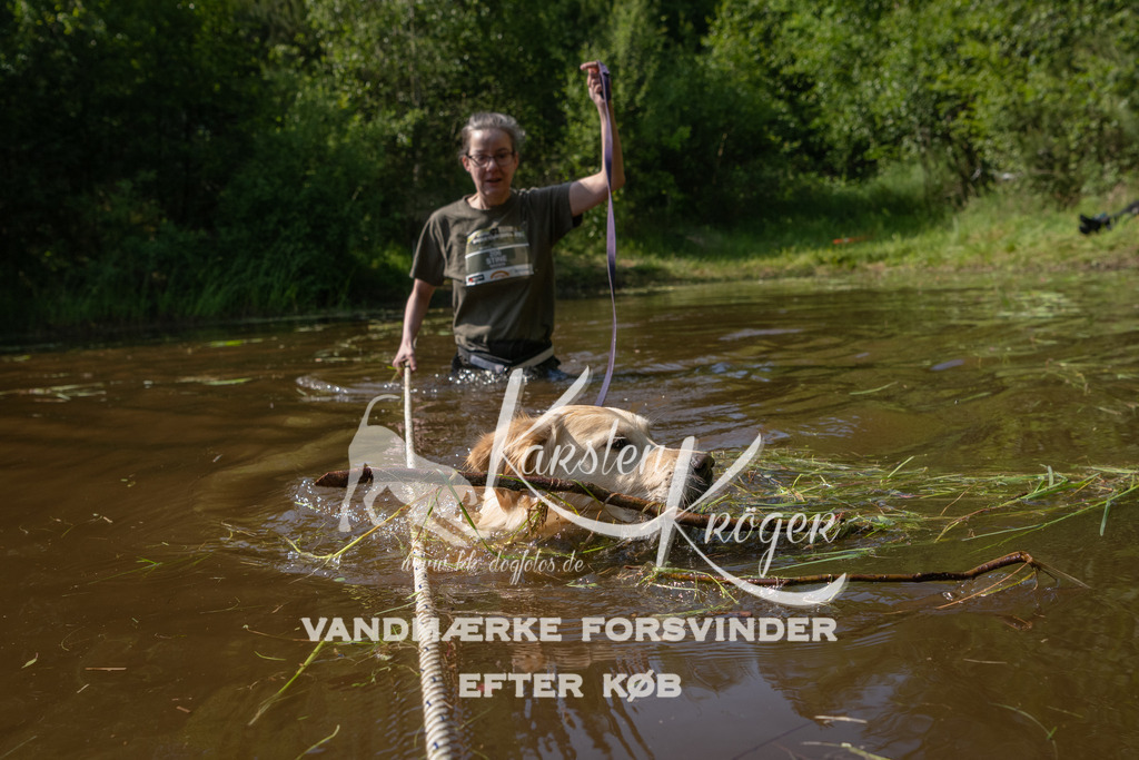 1619DKK993916 | kk-dogfotos