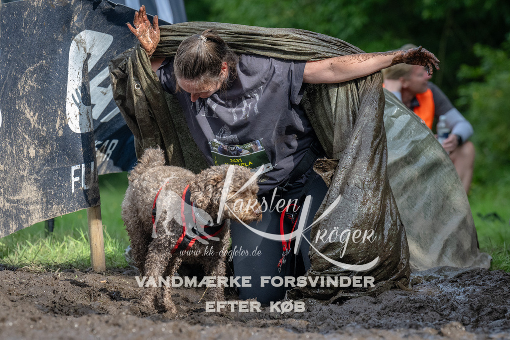 1706_ZZ91118 | kk-dogfotos