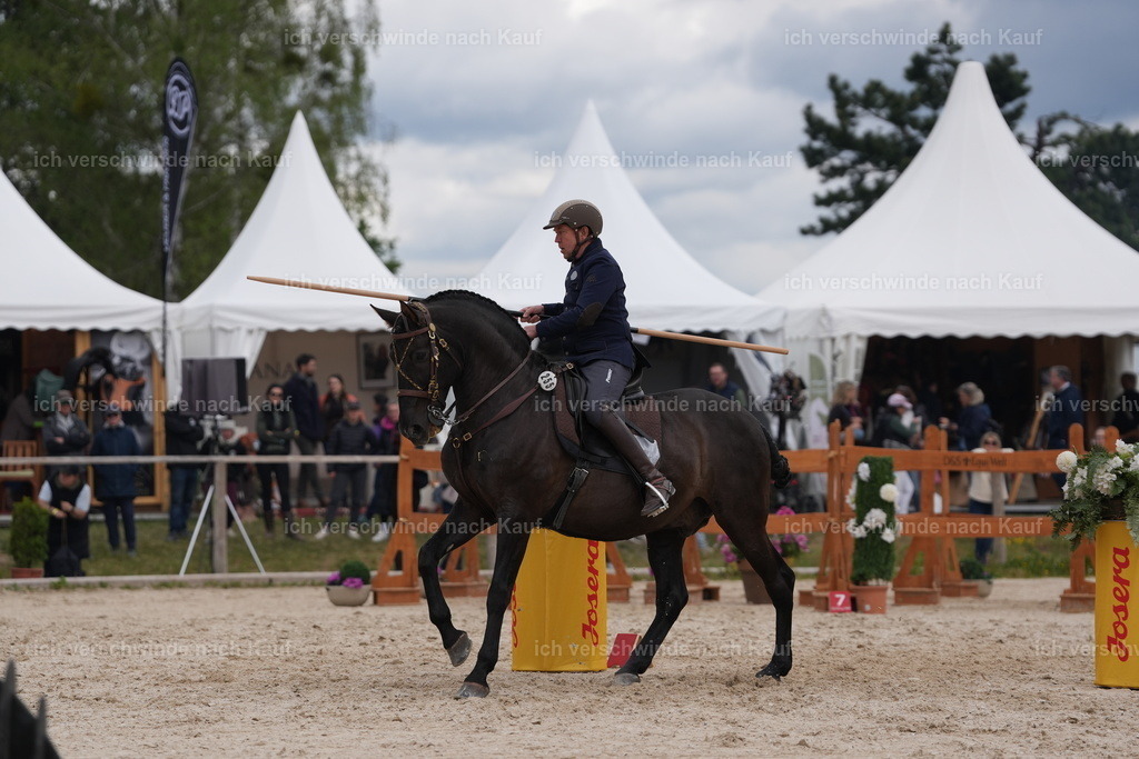 PI26_ST_Jan_Picutures7C_08130.JPG | working equitationturnier fotograf videograf stoibphotography marixx film working equitation deutschland reitsport turnierfotografie eventfotografie equestrian events