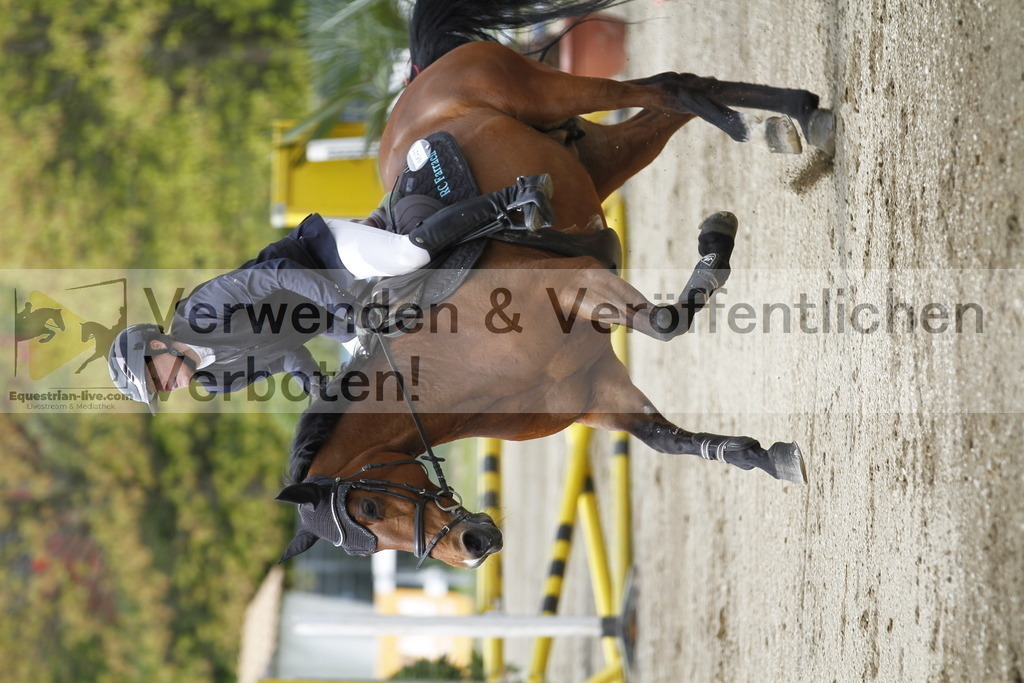 _MG_1731 | equestrian-live-com