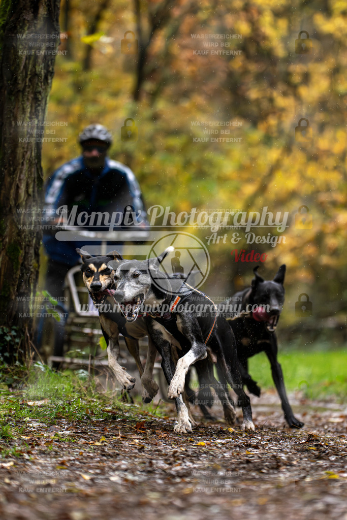 MompixPhotography_Bischwiller23_Kart-7 | PayLife