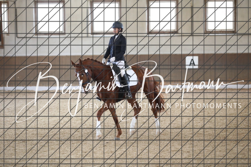 AZ2A0049 | Benjamin Bartmann Photomoments