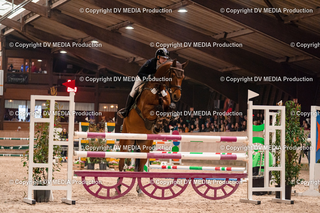 Springen Tag 2-785 | dv-media-shop - Realisiert mit Pictrs.com