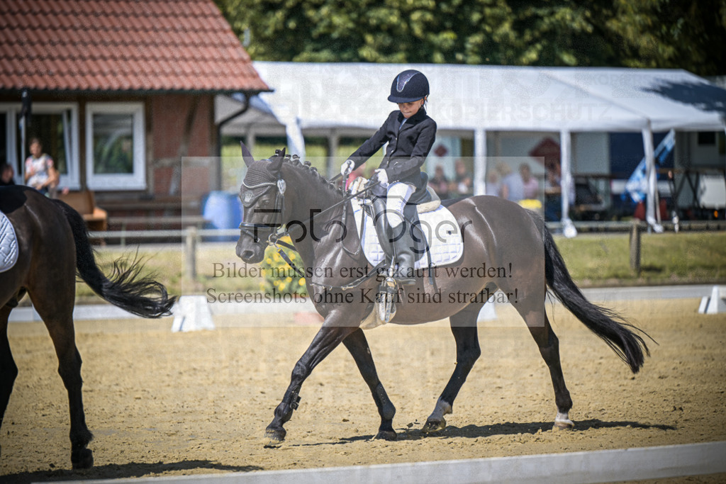 DOS_6517 | Entdecke hochwertige Reitturnierfotos von Foto Oger. Professionell, emotional und authentisch – jetzt Lieblingsmomente im Shop bestellen.Deutschlandweite Turnierfotografie. - Realisiert mit Pictrs.com