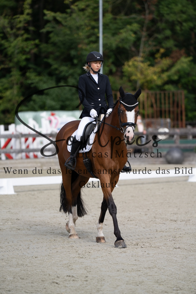A7V06825 | Turnier/Reitfotograf