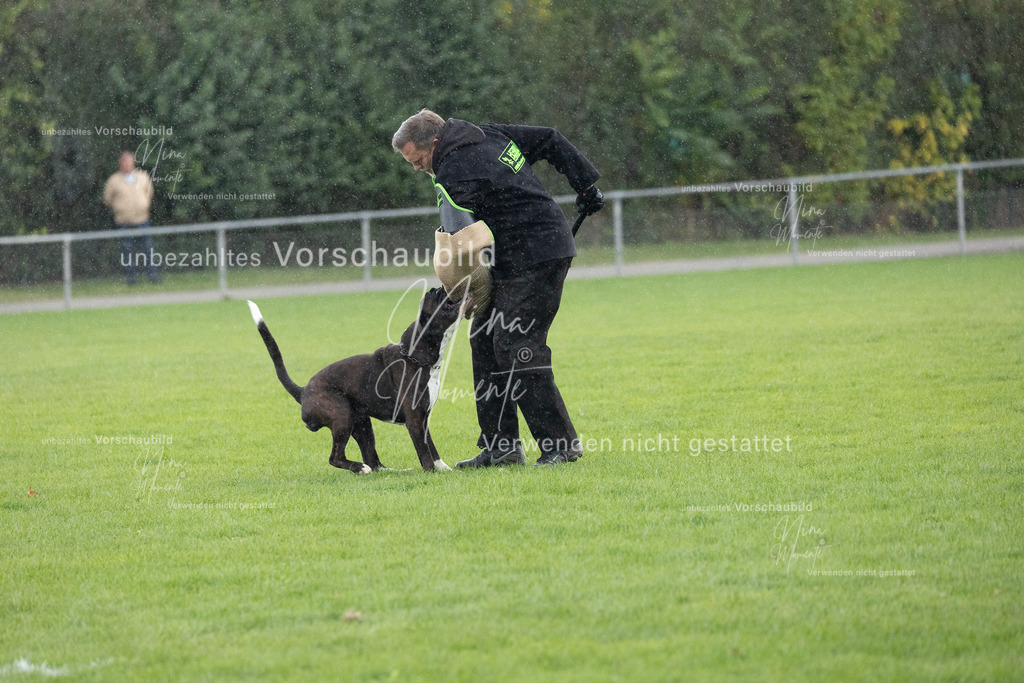 _16A7165 | Einzigartige Fotos von Hunden & Menschen –Actionfotos, Portraits, Vereinsaufnahmen & Paarshootings – authentisch, lebendig & mit Herz.