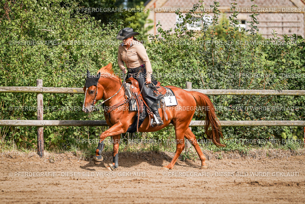 DSC09631 | Pferdegrafie