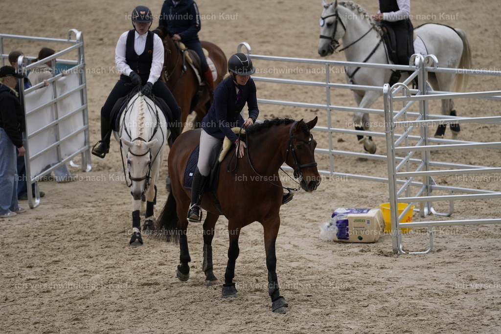 PI26_COW_Stoibphotography_A749598.JPG | working equitationturnier fotograf videograf stoibphotography marixx film working equitation deutschland reitsport turnierfotografie eventfotografie equestrian events